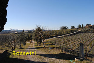 <b>Rossetti酒庄葡萄种植园</b>