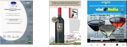 圣马里奥金奖证书