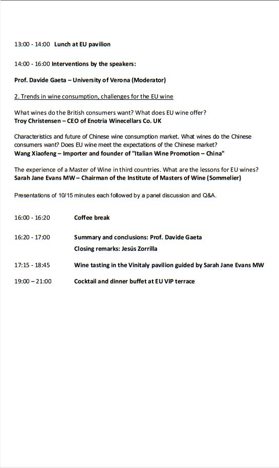 米兰世博会王晓峰演讲